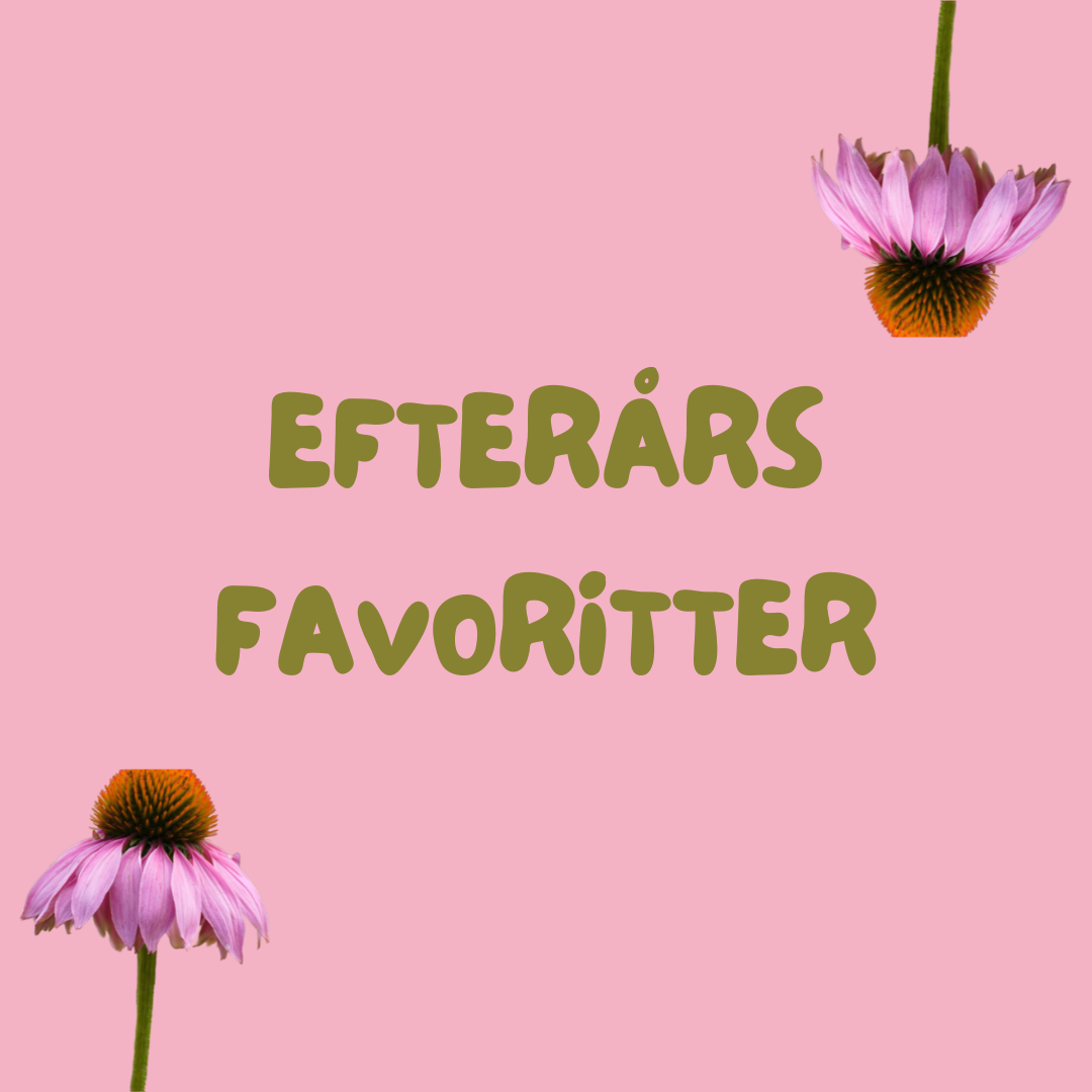 EFTERÅRSFAVORITTER