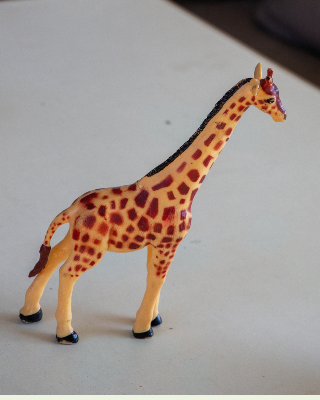 Begynder Blusen Barn